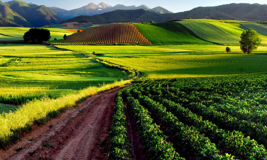 La Rioja