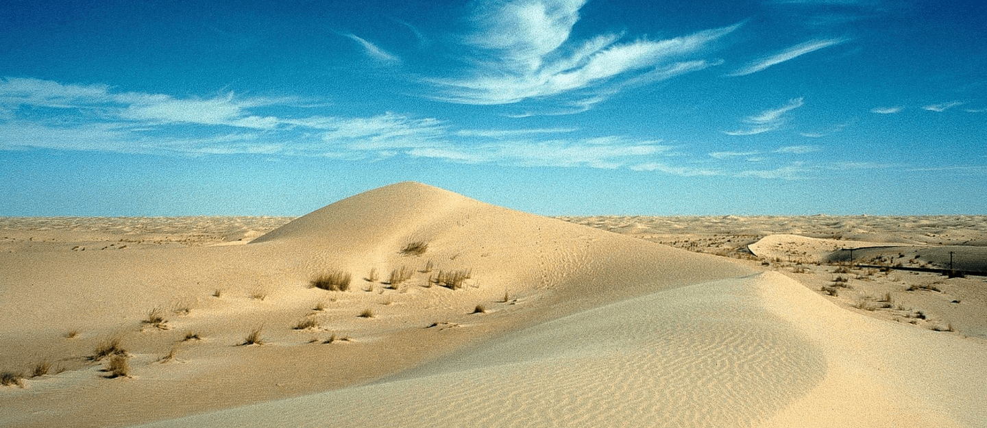Oued Souf