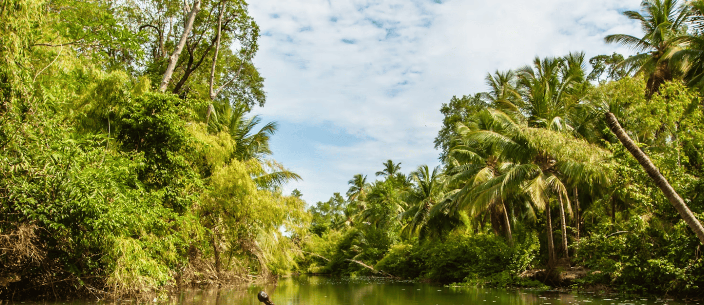 Pará