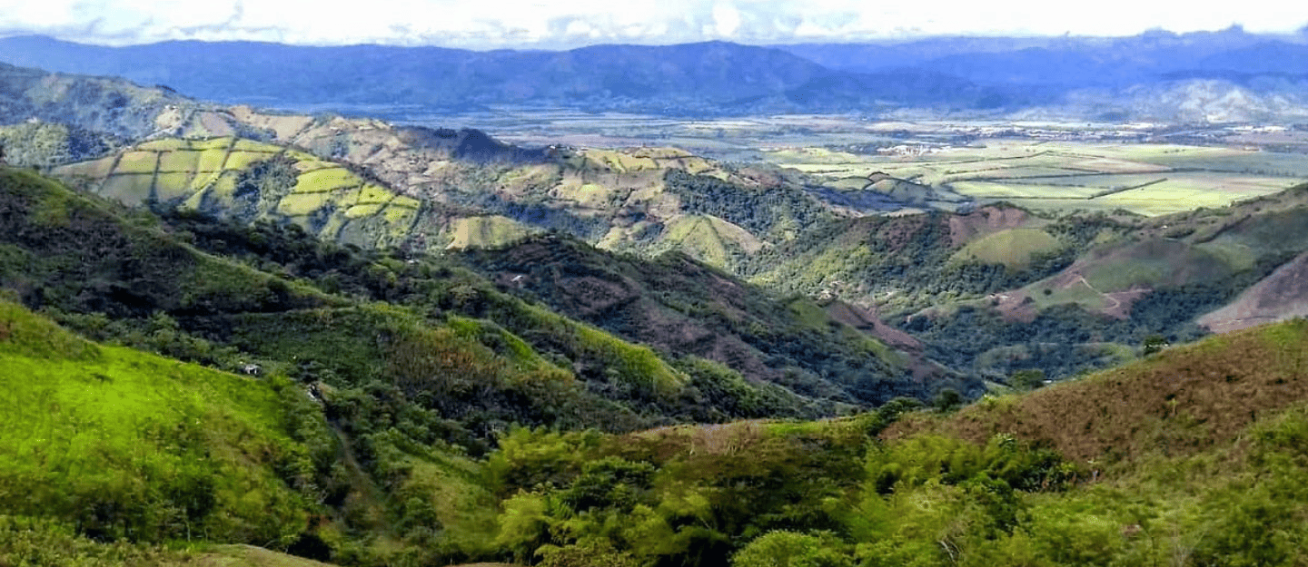 Cauca