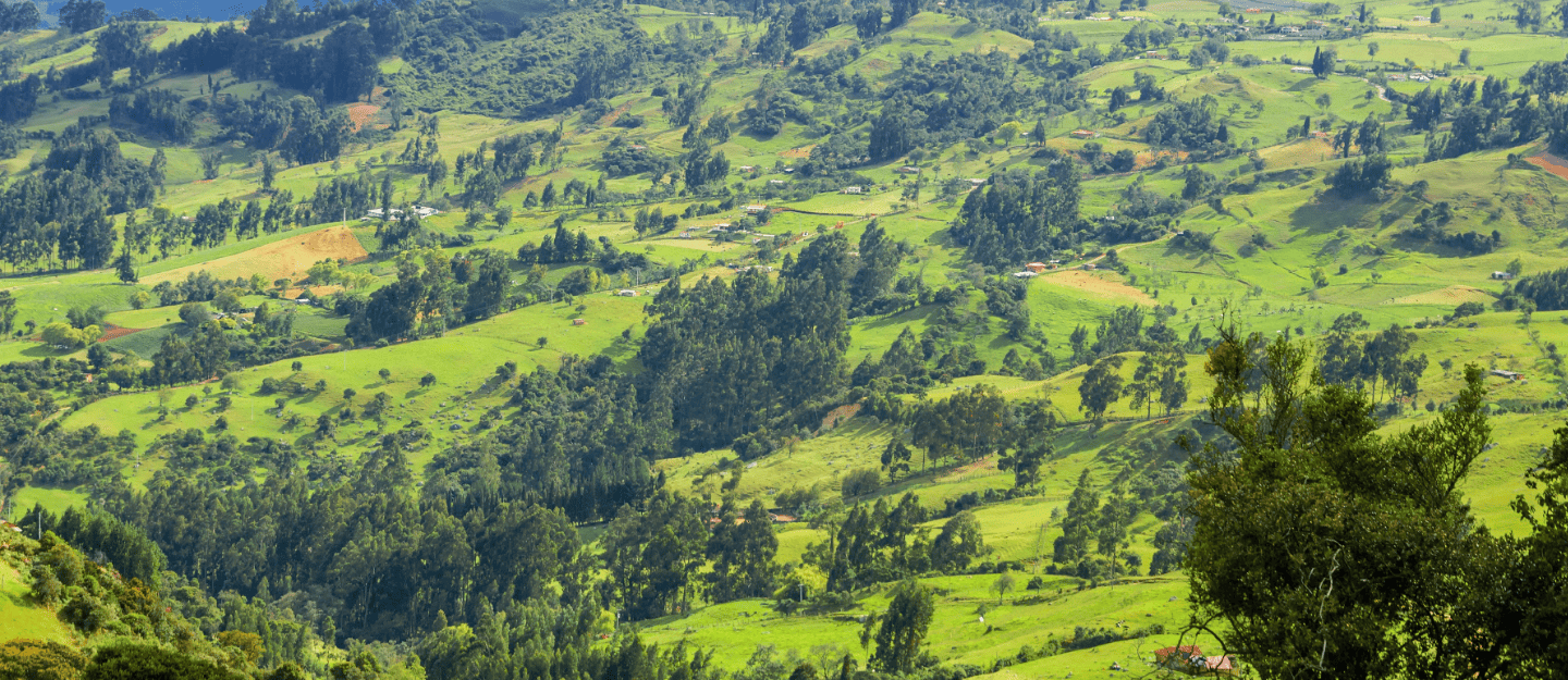 Cundinamarca