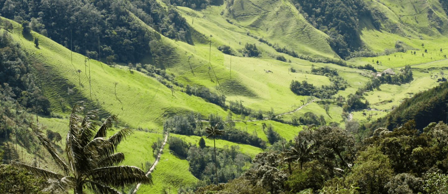 Quindío