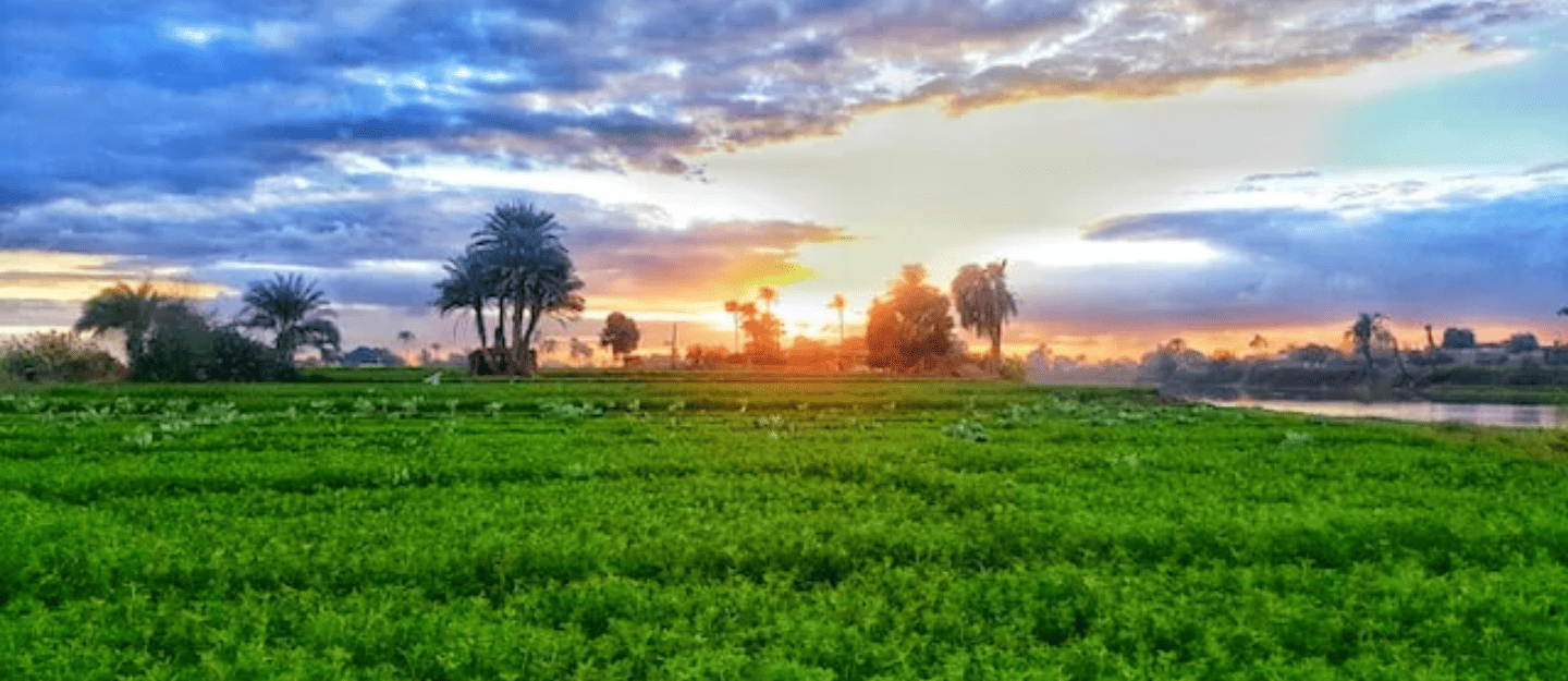 Beni Suef