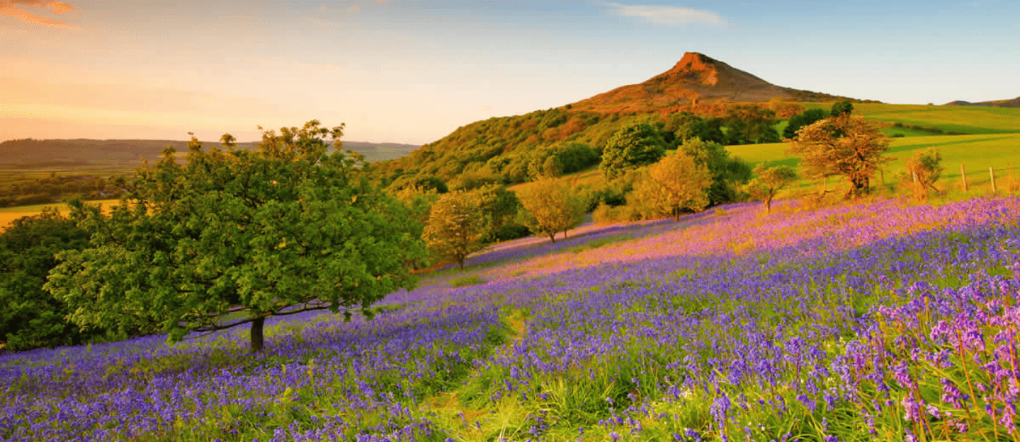 North Yorkshire