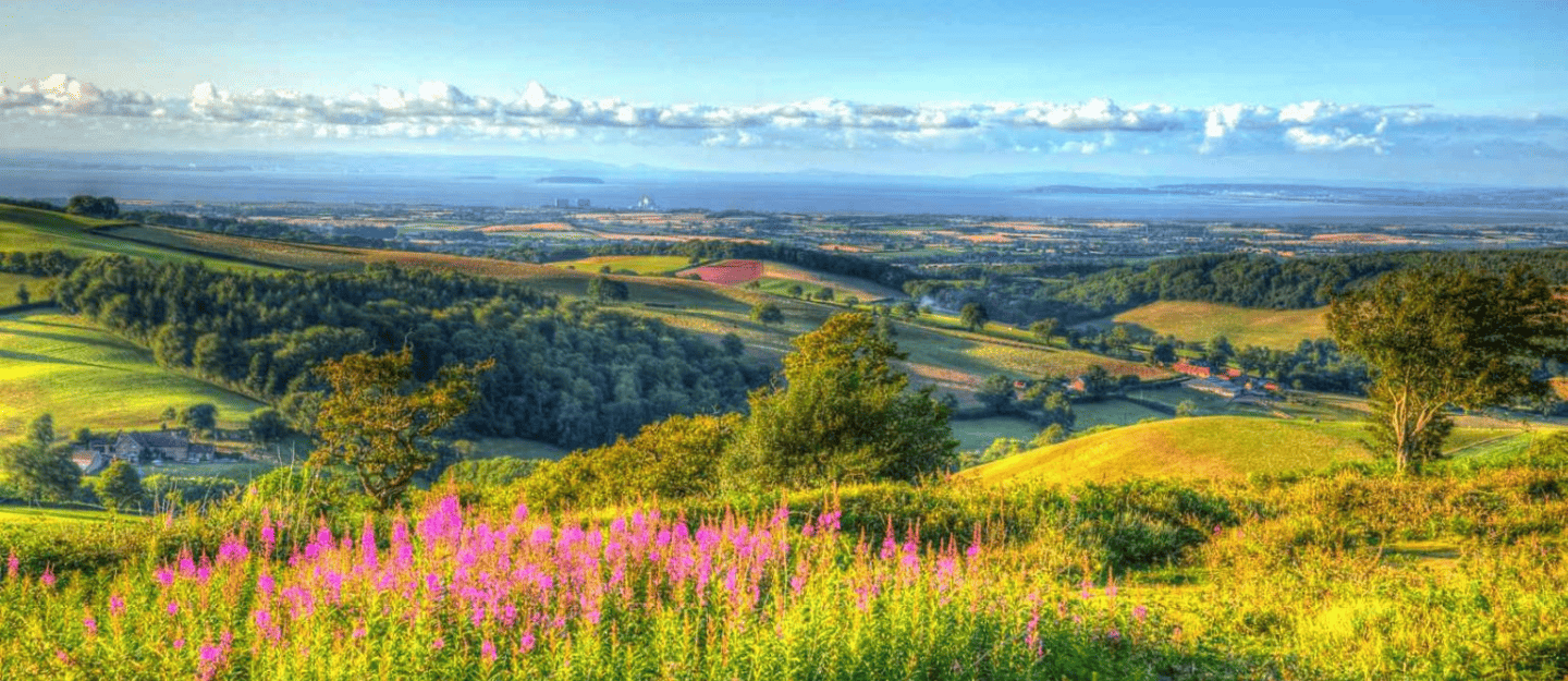 Somerset
