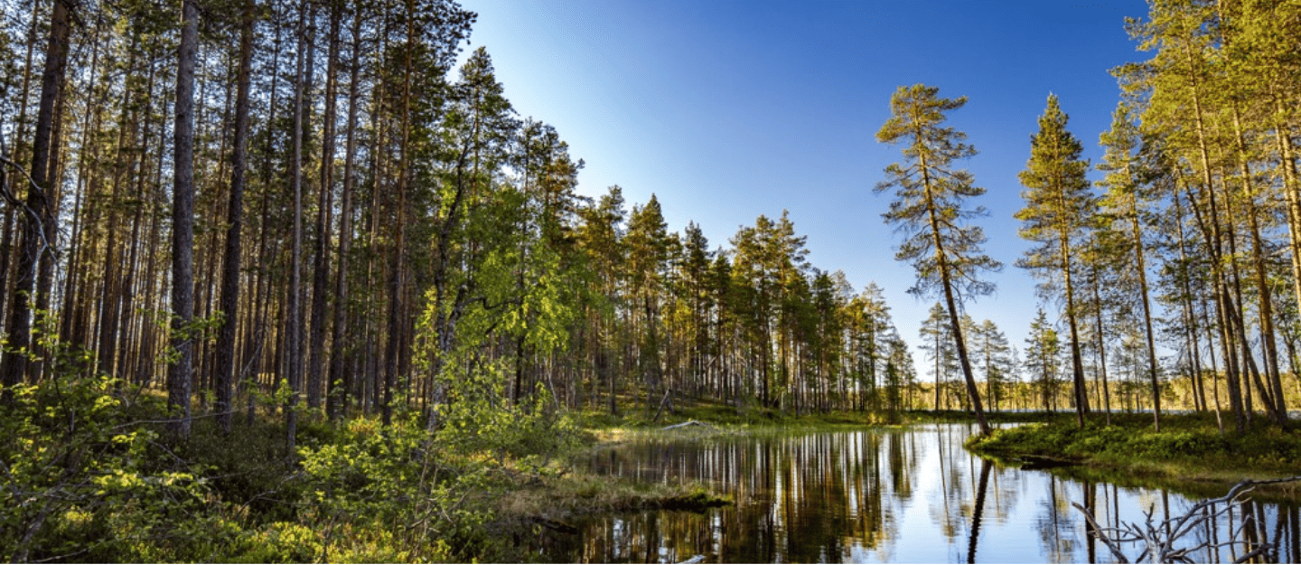 Kainuu