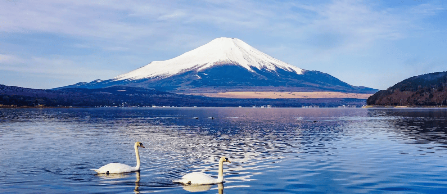 Yamanashi