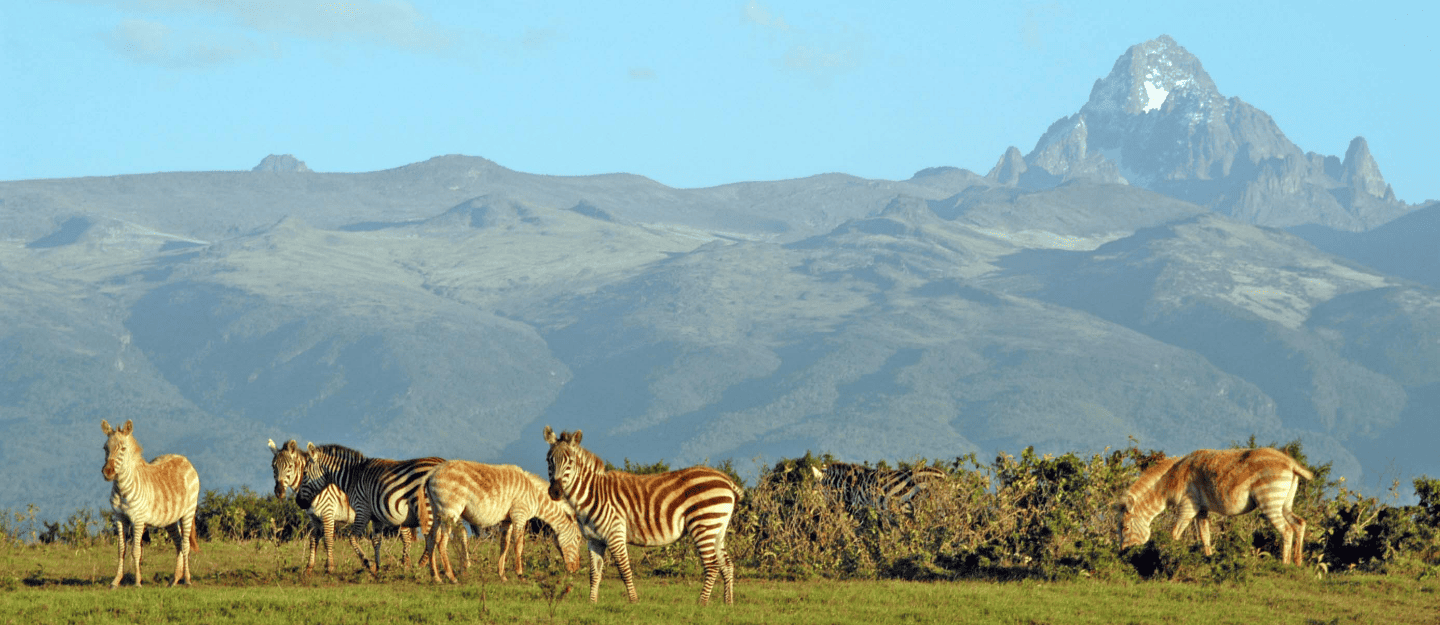 Nanyuki