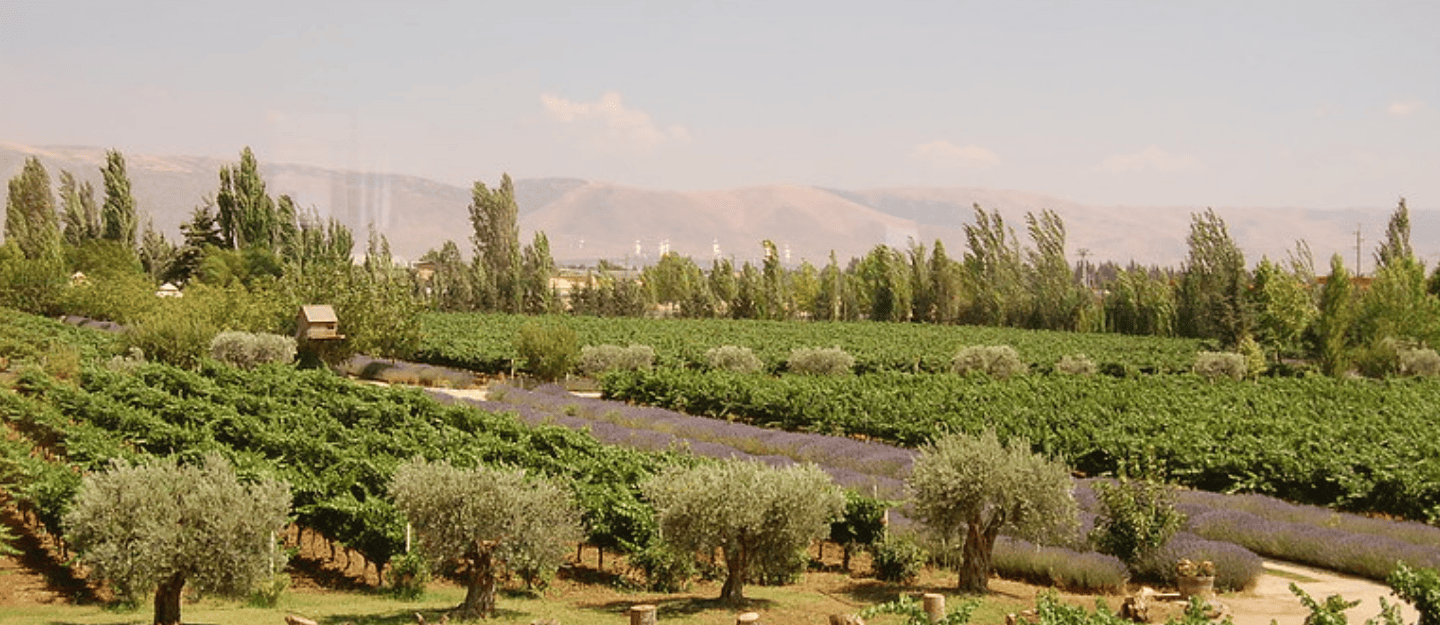 South Lebanon