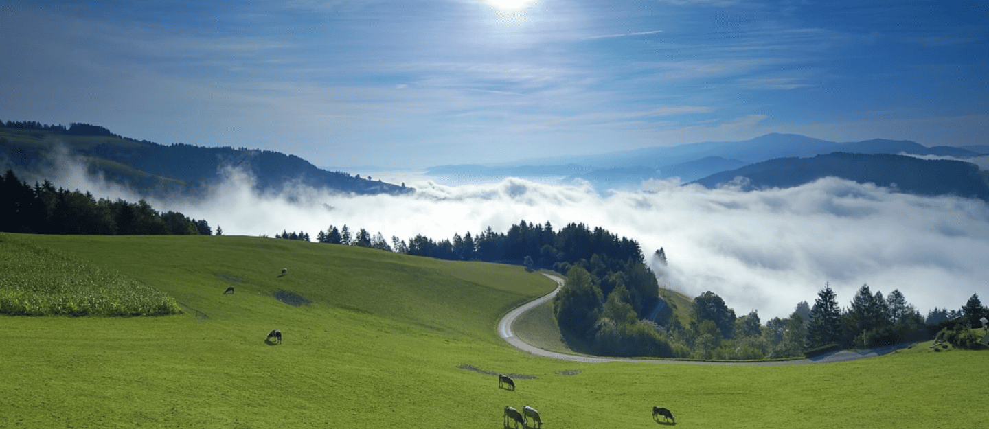 Koroška