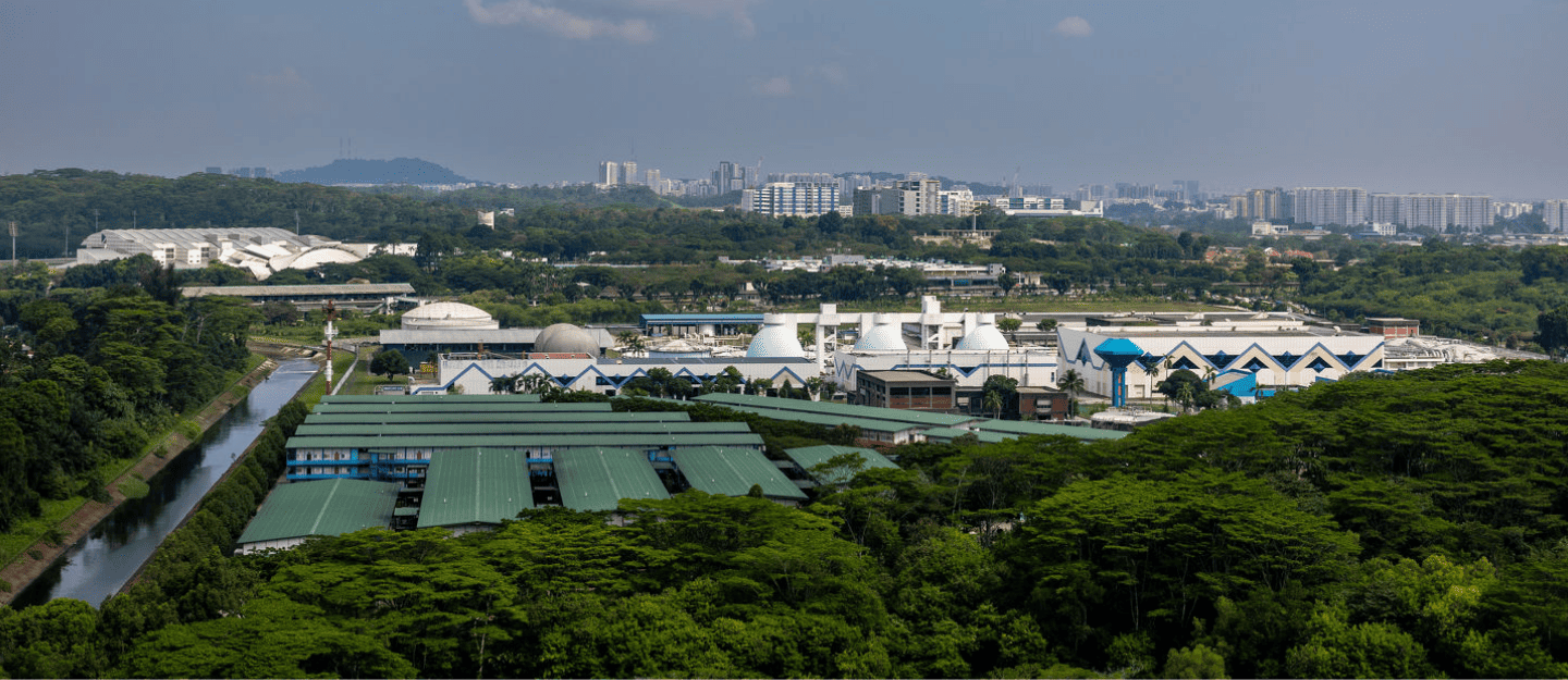 North Singapore
