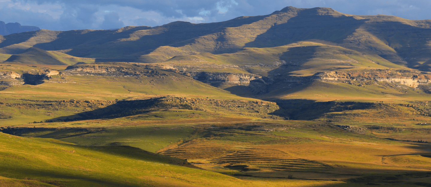 Free State