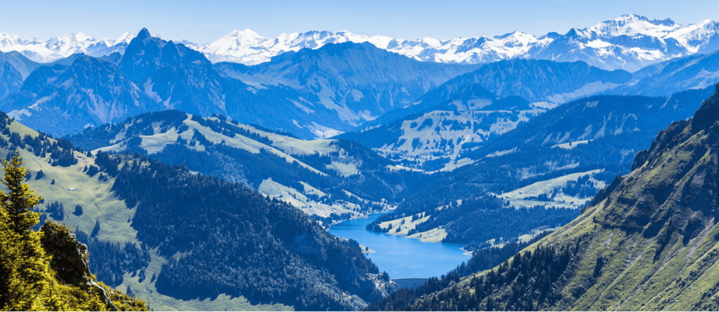 Vaud