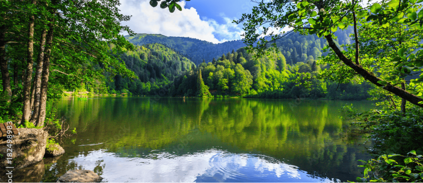 Artvin