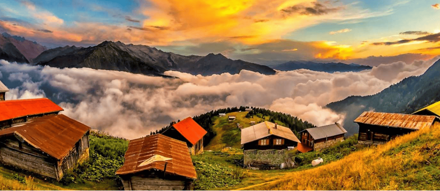 Rize