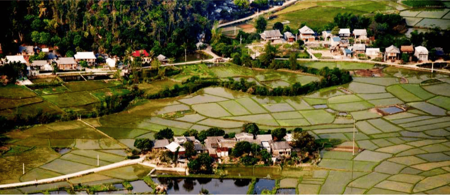 Hoa Binh