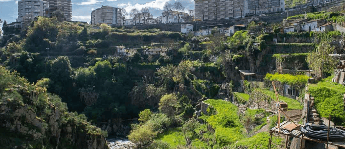 Vila Real