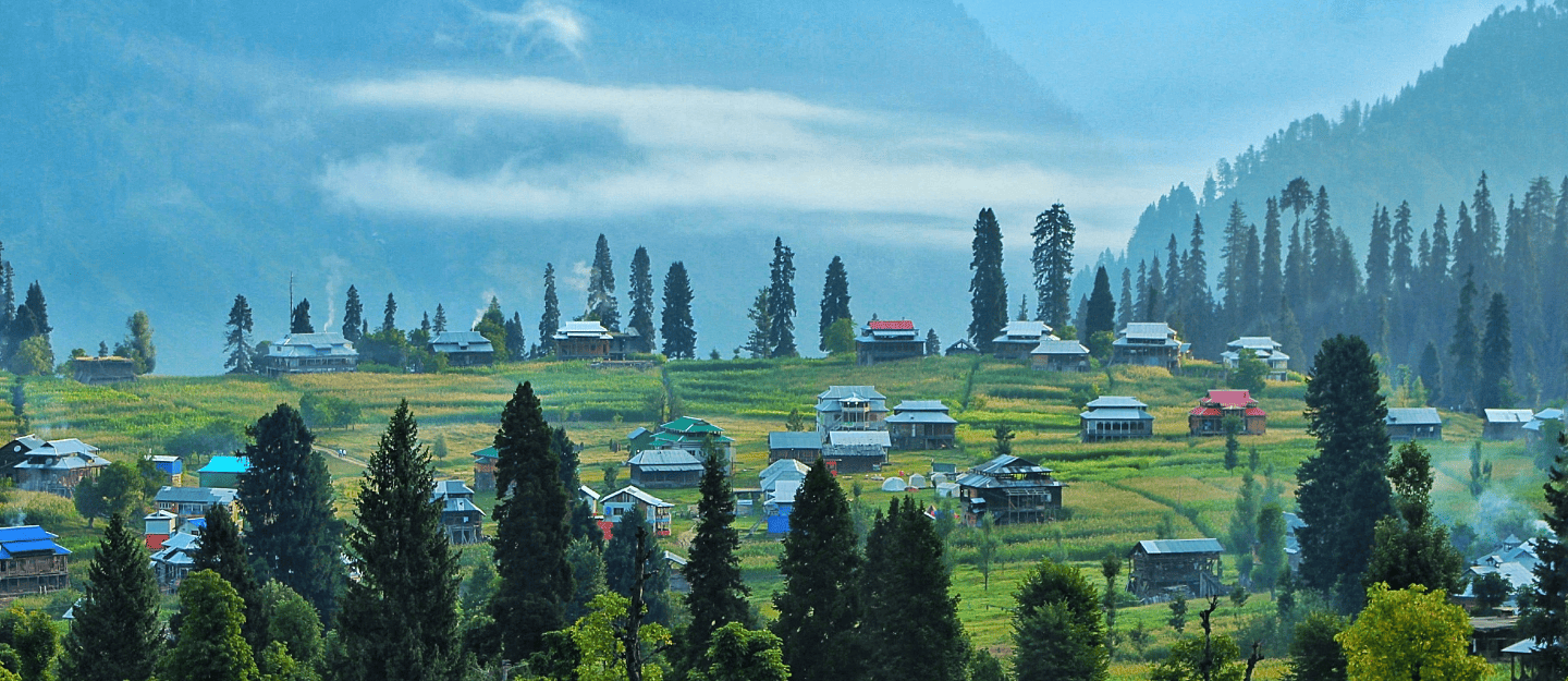 Arang