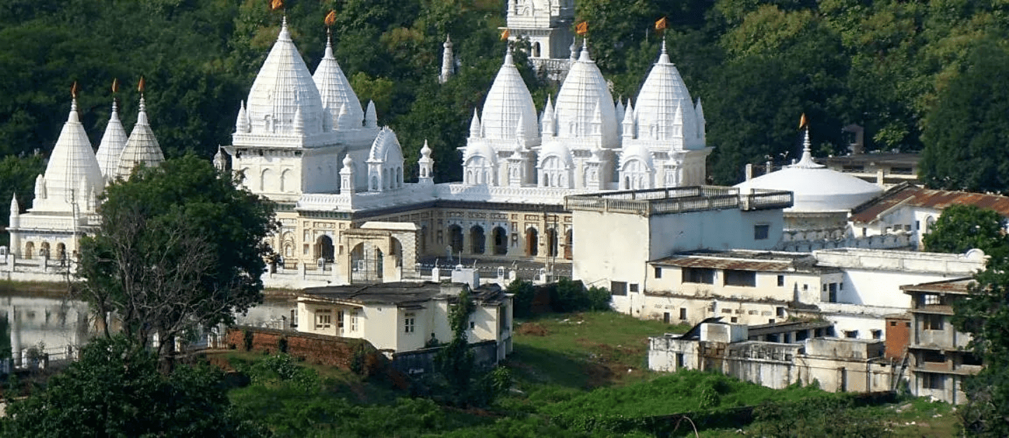 Ankleshwar image