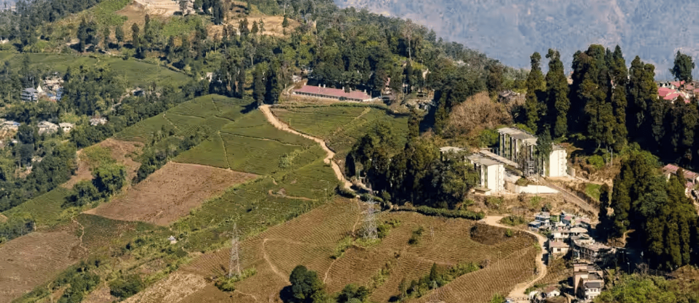 Araria