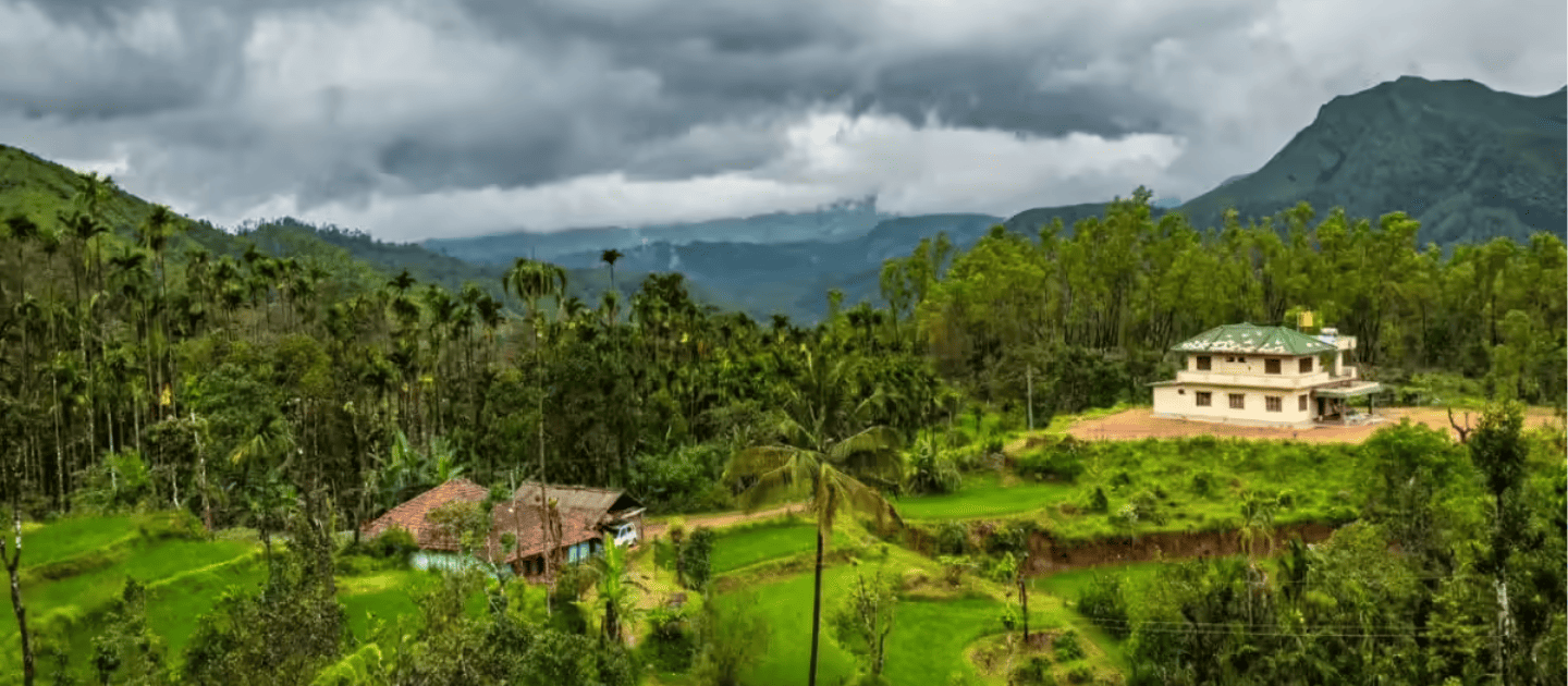 Coffee plantations and misty hills of Coorg, Karnataka in December