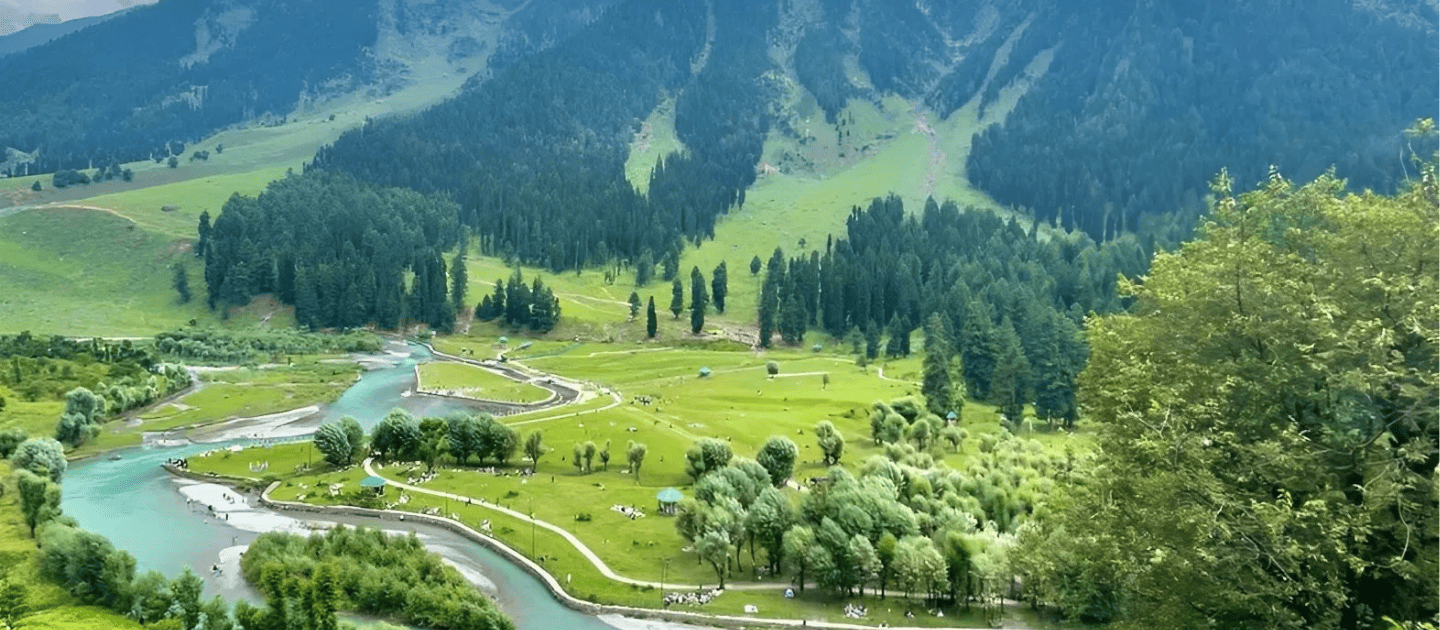 Scenic view of Betaab Valley in Pahalgam with lush green meadows, pine forests, and the flowing Lidder River