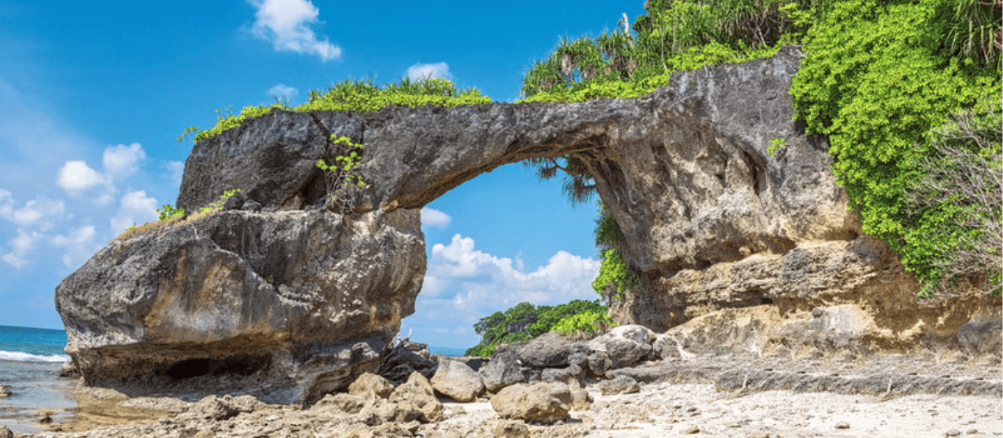 Scenic view of the famous Natural Bridge rock formation at Neil Island (Shaheed Dweep), featuring a limestone arch covered in lush greenery on a rocky beach against a blue sky