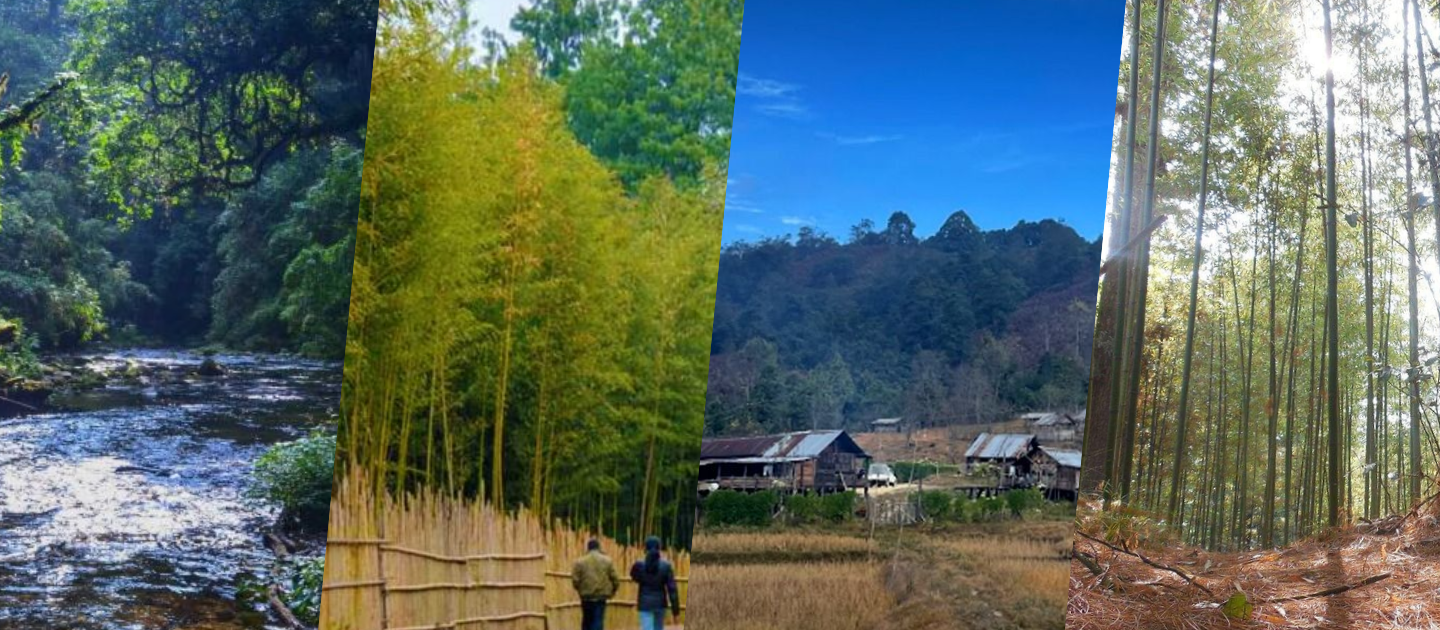 Collage of Ziro Valley's natural beauty featuring a flowing river in a dense forest, towering bamboo groves, traditional Apatani village huts, and sunlit pine trails