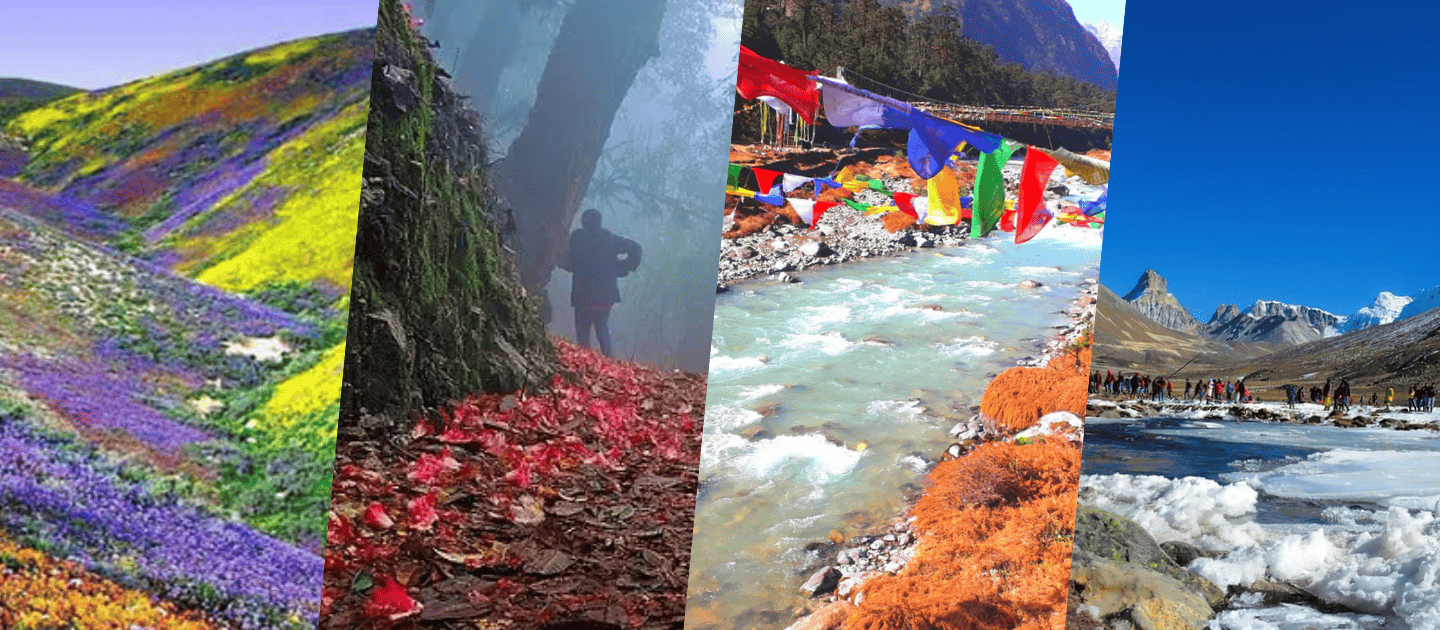 Collage of Yumthang Valley's seasonal beauty featuring vibrant rhododendron blooms, misty forests, colorful prayer flags by the river, and snow-covered landscapes in North Sikkim