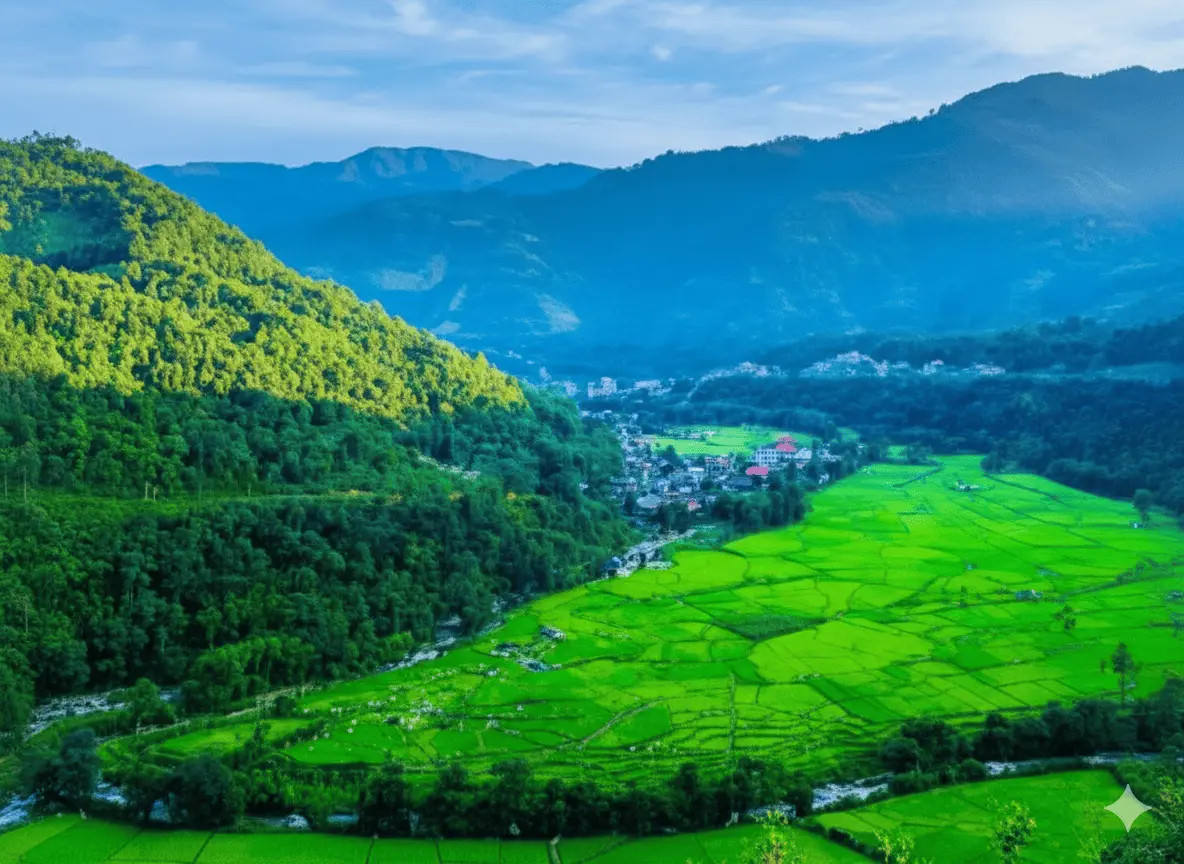 Ziro Valley