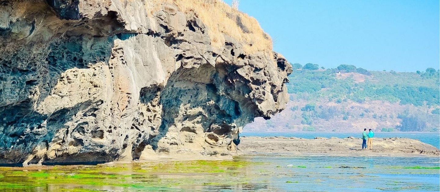 Diveagar image