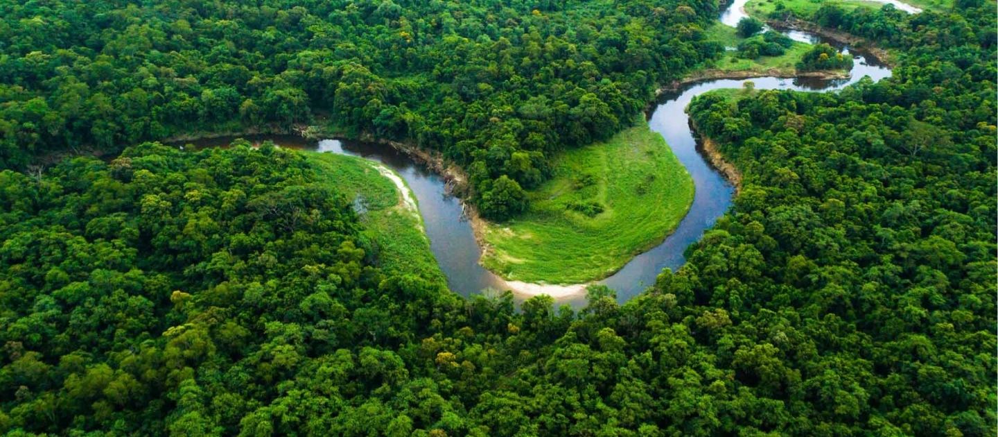 Bhitarkanika image