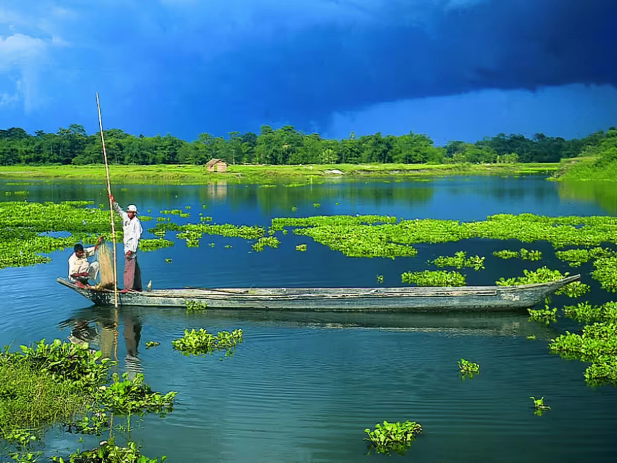 Majuli