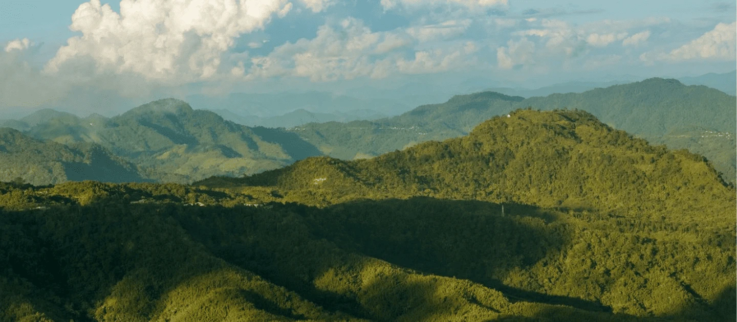 Lunglei image