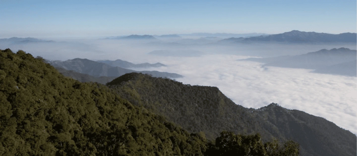 Phawngpui (Blue Mountain) image