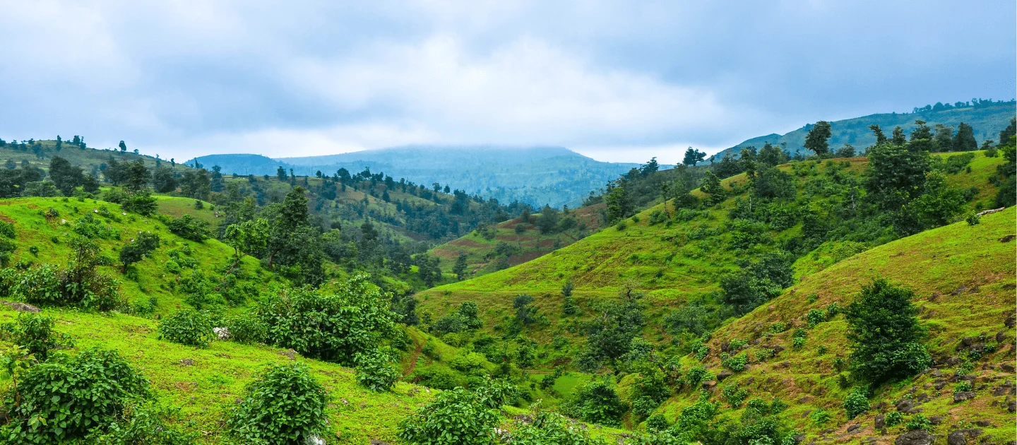 Saputara image